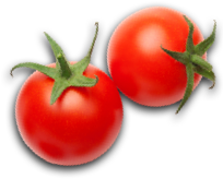 tomatoe ingredient